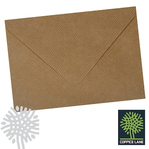 May include: A brown paper envelope with a white, textured flap.