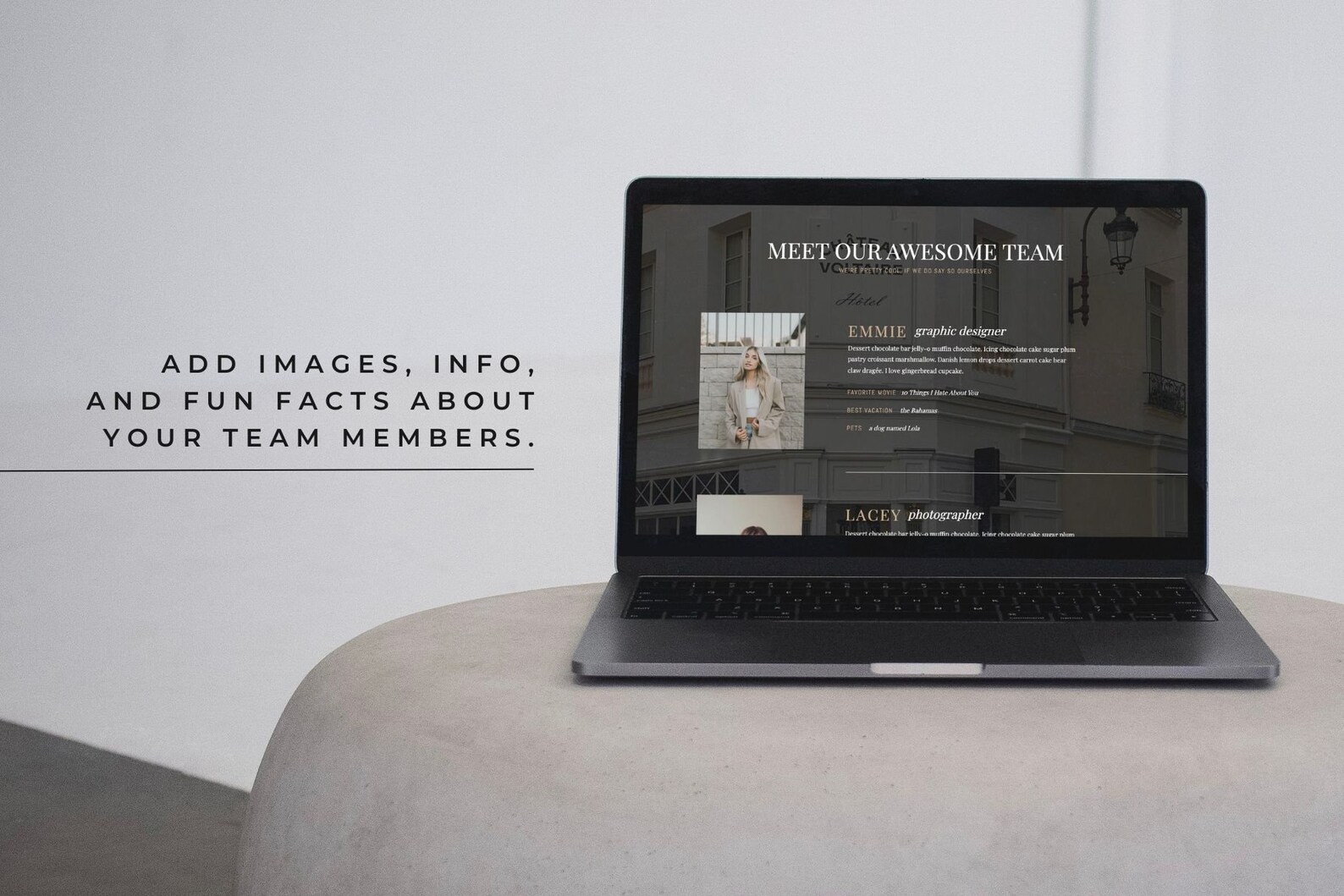 Meet the Team Showit Template Add-on Page | Web Page Design | Team ...