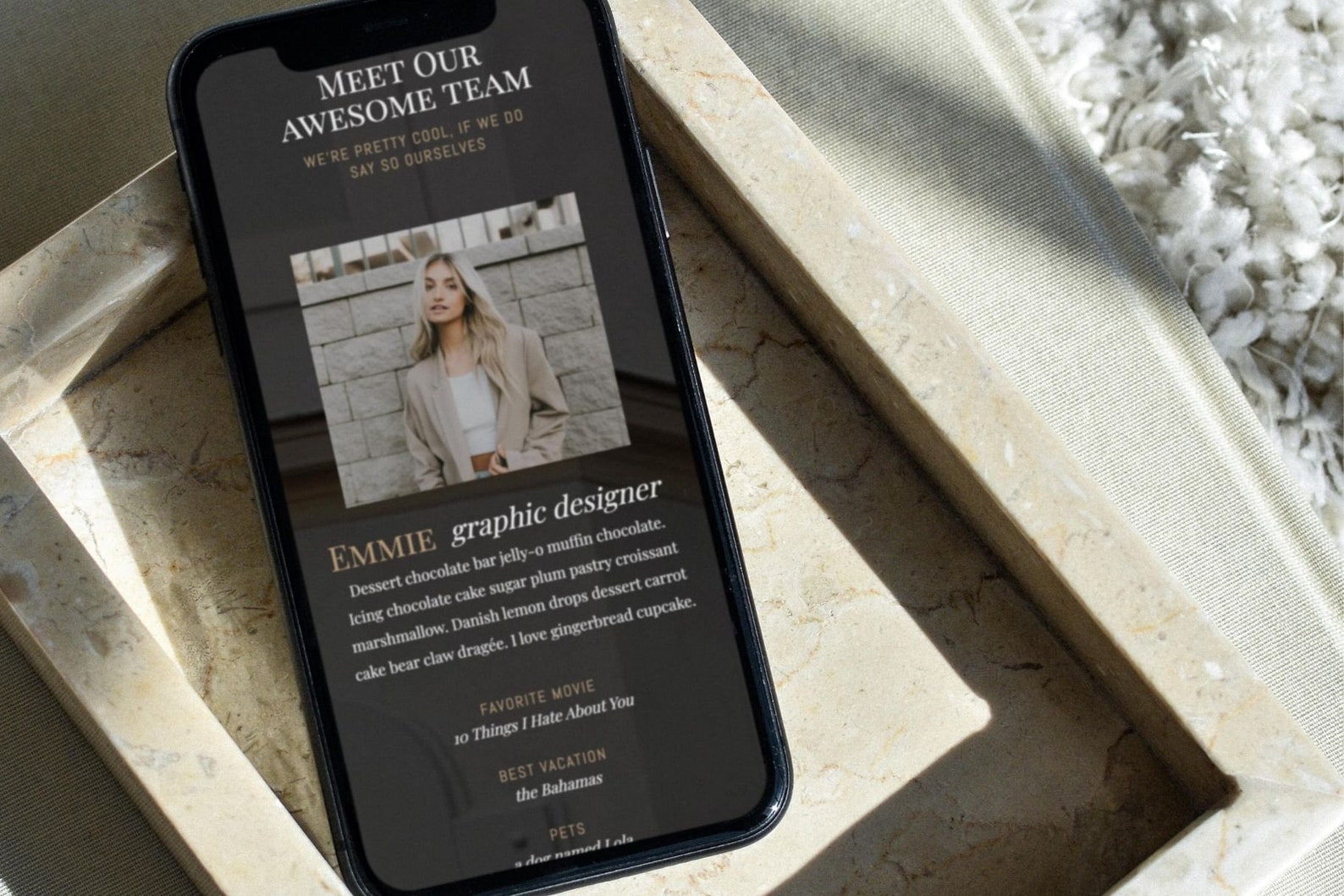 Meet the Team Showit Template Add-on Page | Web Page Design | Team ...