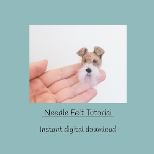 Könnte beinhalten: Ein kleiner, mit Nadeln gefilzter Hundekopf mit braunem und weißem Fell, gehalten in einer Hand. Der Hund hat einen flauschigen weißen Bart und braune Ohren. Der Text auf dem Bild lautet "Needle Felt Tutorial" und "Instant digital download."