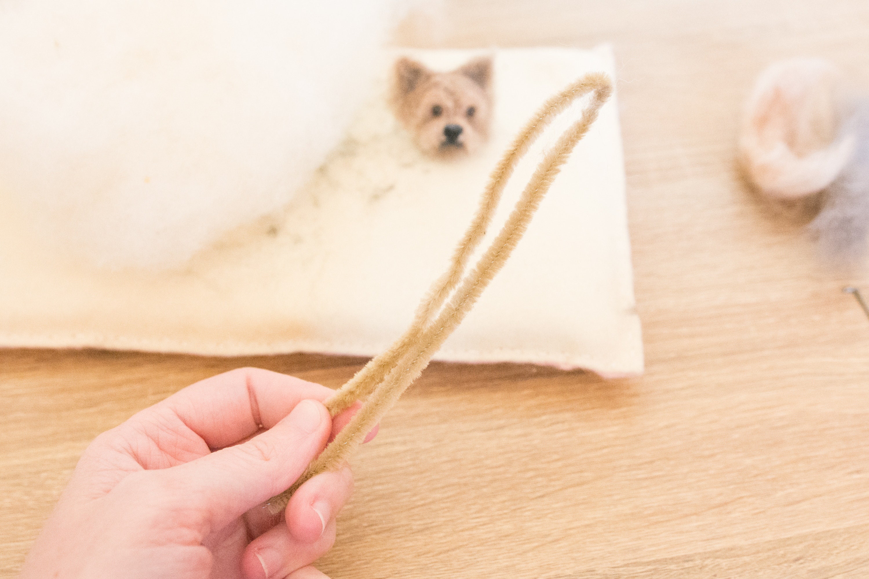 Needle felted tutorial Indie the yorkie yorkshire terrier dog Etsy