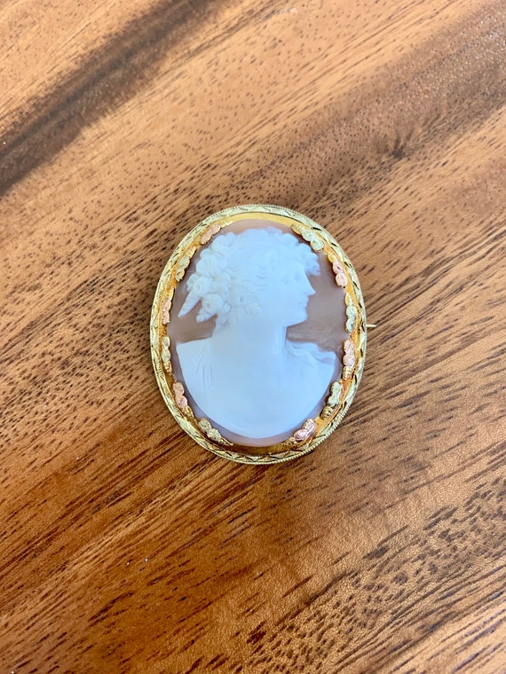 10K Shell Cameo Gold Brooch - image 8