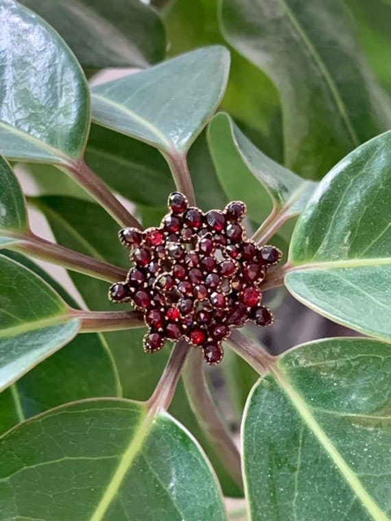 Bohemian Garnet Brooch Pin - Victorian - image 1