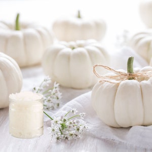 Vanilla Pumpkin Whipped Sugar Scrub || Body Scrub || Foot Scrub || 100% Natural