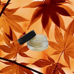 Cinnamon Sugar Hydrating Lip Balm || Lip Moisturizer || 100% Natural