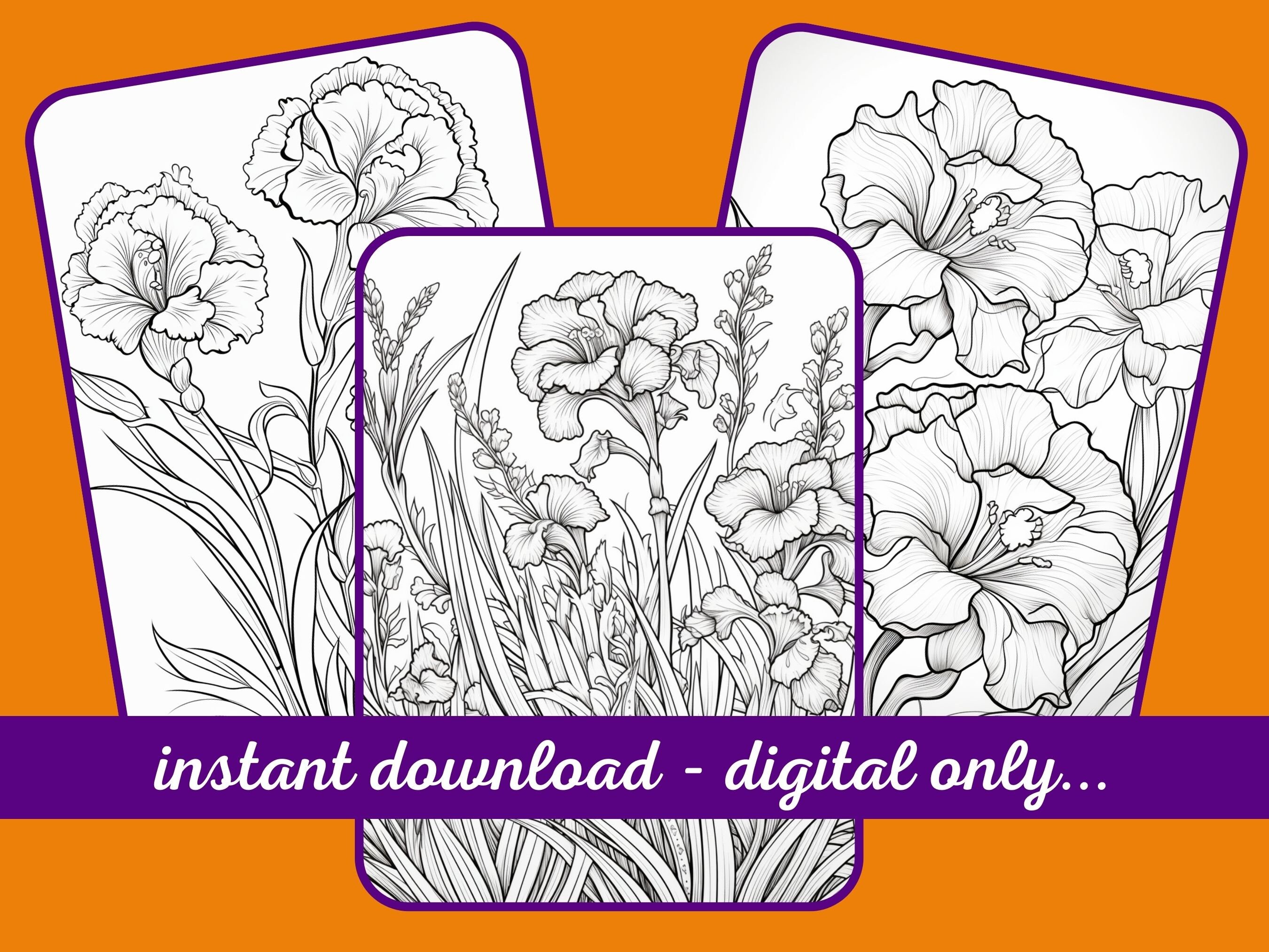 Pretty Flowers Coloring Pages Adult Coloring Book 60 Etsy