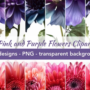 Diseños de imágenes prediseñadas de flores rosas y moradas / archivos png - fondo transparente / 24 imágenes digitales / descarga instantánea / diseños florales coloridos