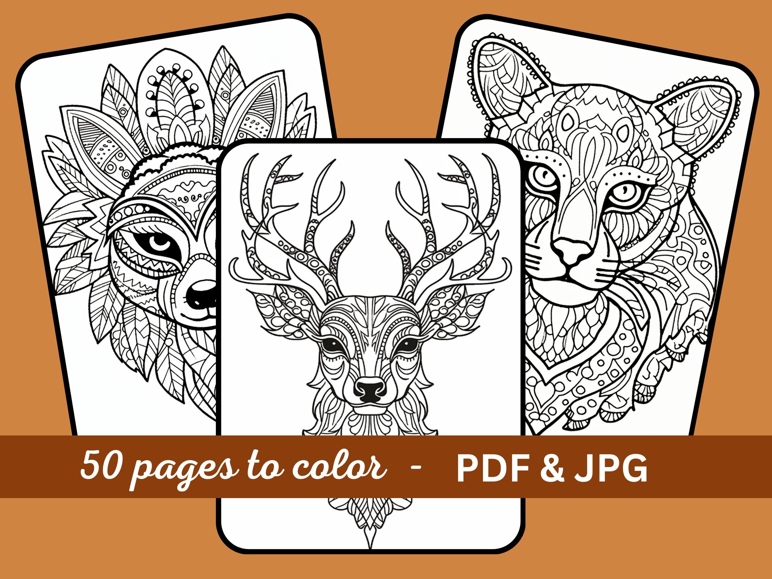 Mandala Forest Animal Coloring Book Pages 50 Printable PDF & - Etsy