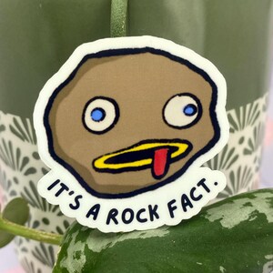 Rock Fact Sticker