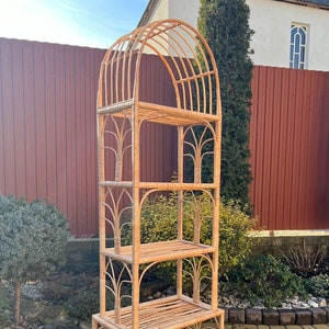 Puede incluir: Una estantería alta, arqueada, de mimbre tejido con cuatro estantes. La estantería es de color marrón claro y tiene un acabado natural. Está de pie en un patio de adoquines.