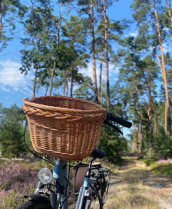Panier de vélo en osier Willow pour adultes et adultes, panier de rangement avant