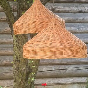 Pu&ograve; includere: Due luci a sospensione in vimini intrecciato appese a un ramo di albero di fronte a una parete di legno. Le luci sono di colore marrone chiaro e hanno una forma conica.