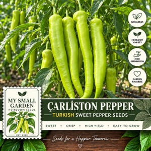May include: A cluster of light green Carliston Turkish sweet peppers hanging on a plant with green leaves. The image includes text labels for non-GMO, heirloom variety, high germination, garden favorite, and the brand My Small Garden.
