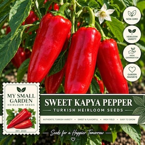 May include: Bright red, elongated sweet Kapya peppers hanging from green stems on a plant with green leaves and a white flower. The image includes text labels: My Small Garden, Sweet Kapya Pepper, Turkish Heirloom Seeds, and icons.