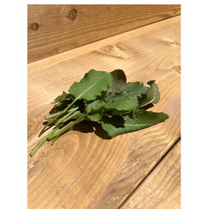May include: A bunch of fresh, green sorrel leaves with reddish-purple edges, resting on a light brown wooden surface. The sorrel has long, slender stems and broad, textured leaves. The wooden surface has visible grain and knots.