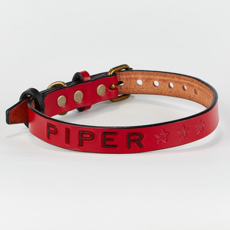 May include: Red leather dog collar with black lettering that says "PIPER" and three stars.