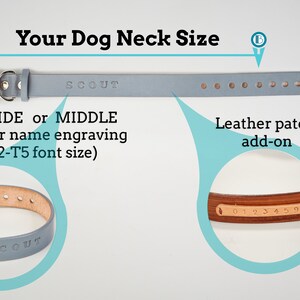 May include: A light blue leather dog collar with a silver buckle and a name tag that says "SCOUT". The collar has adjustable holes for sizing. The image shows how to measure your dog's neck for the collar. There is also a close-up of a brown leather patch that can be added to the collar.