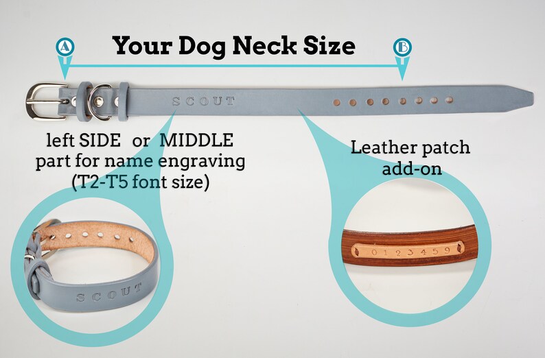 May include: A light blue leather dog collar with a silver buckle and a name tag that says "SCOUT". The collar has adjustable holes for sizing. The image shows how to measure your dog's neck for the collar. There is also a close-up of a brown leather patch that can be added to the collar.