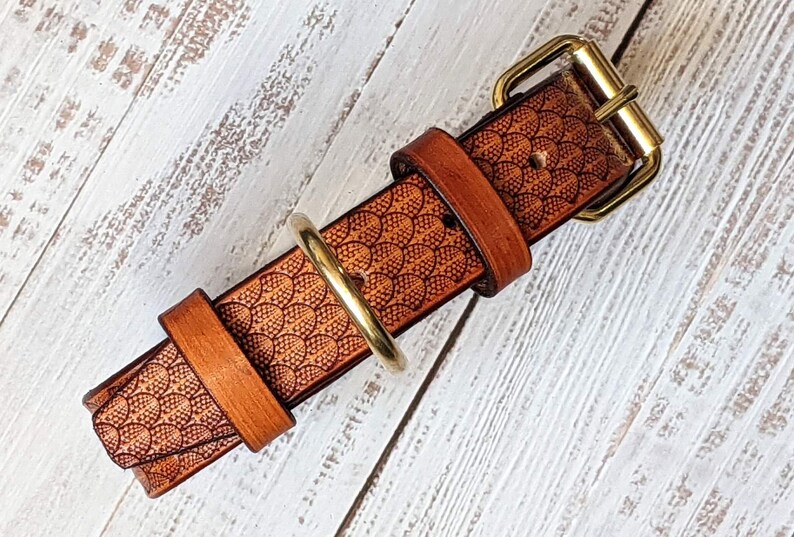 May include: A brown leather dog collar with a brass buckle and ring. The collar has a detailed, embossed pattern of overlapping circles. The leather is a warm, natural brown colour, and the hardware is a shiny gold.