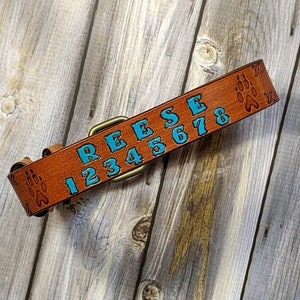 May include: A brown leather dog collar with the name "REESE" and numbers "12345678" in turquoise. The collar has paw print designs and a brass buckle. The background is a light wood surface.