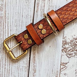 Personalized Leather Dog Collar: Handmade Collar for Dog, Name Collar, Gift for Pets image 2