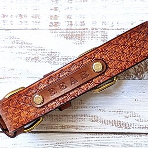 May include: A brown leather dog collar with a scale pattern. The collar has the name "BEAR" embossed on a rectangular patch, secured with gold-coloured hardware and rivets. The collar is designed for a pet.