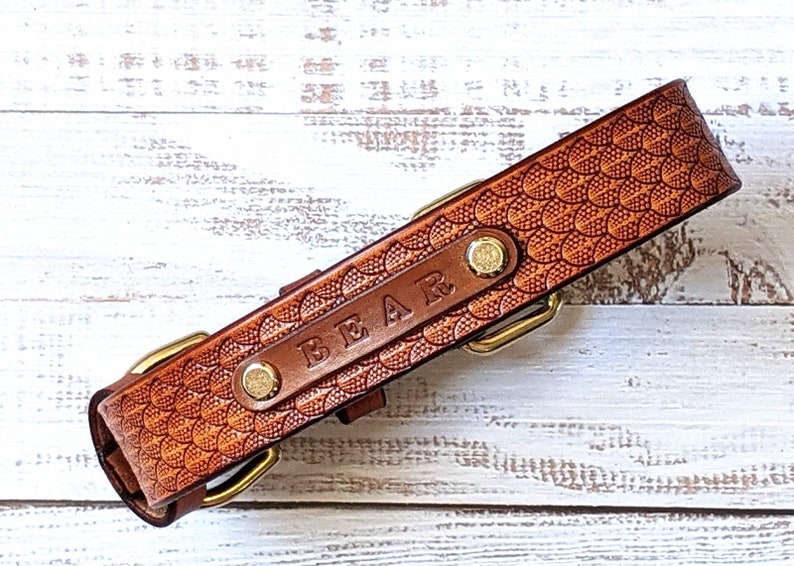 May include: A brown leather dog collar with a scale pattern. The collar has the name "BEAR" embossed on a rectangular patch, secured with gold-coloured hardware and rivets. The collar is designed for a pet.