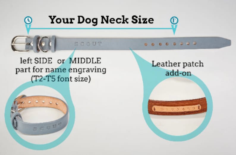 May include: A pale blue leather dog collar with a silver buckle. The collar is engraved with the word "SCOUT". The image also shows a leather patch add-on with numbers. Text on the image reads "Your Dog Neck Size".