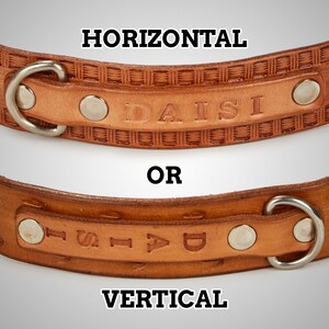 May include: A brown leather dog collar with a silver metal ring and two silver metal rivets. The collar is embossed with the word "DAISI" in a horizontal orientation. The collar can also be personalized with the name in a vertical orientation.
