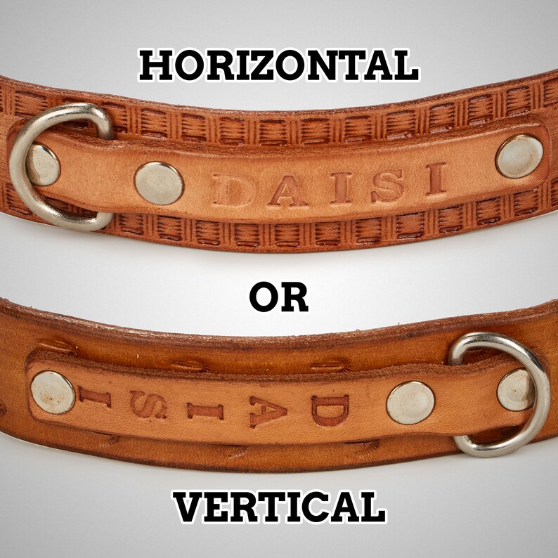 May include: A brown leather dog collar with a silver metal ring and two silver metal rivets. The collar is embossed with the word "DAISI" in a horizontal orientation. The collar can also be personalized with the name in a vertical orientation.
