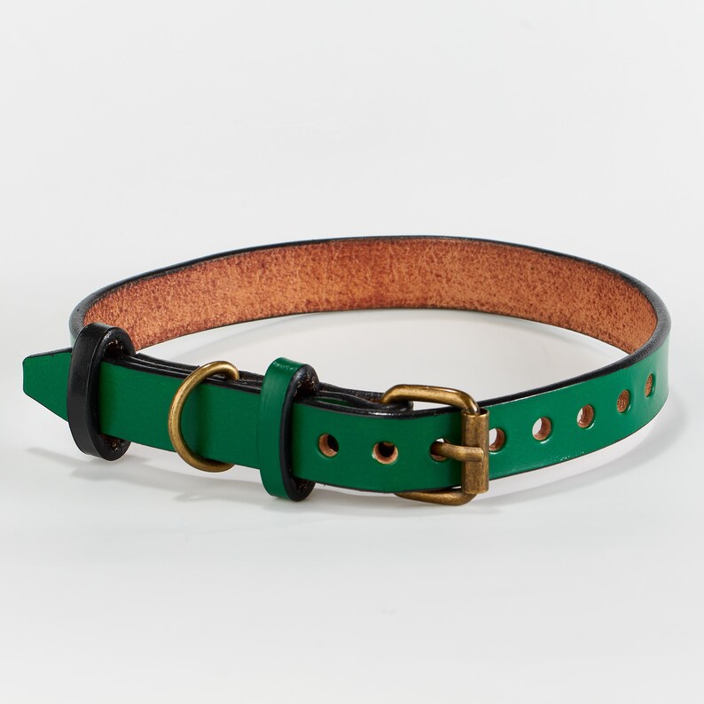 May include: A green leather dog collar with a brass buckle and a brown leather lining.