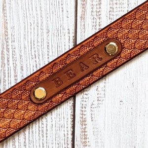 May include: Close-up of a brown leather strap with a scale pattern. The word "BEAR" is embossed on a smaller rectangular piece of leather, secured with gold-coloured rivets. The strap is likely for a pet collar or accessory.