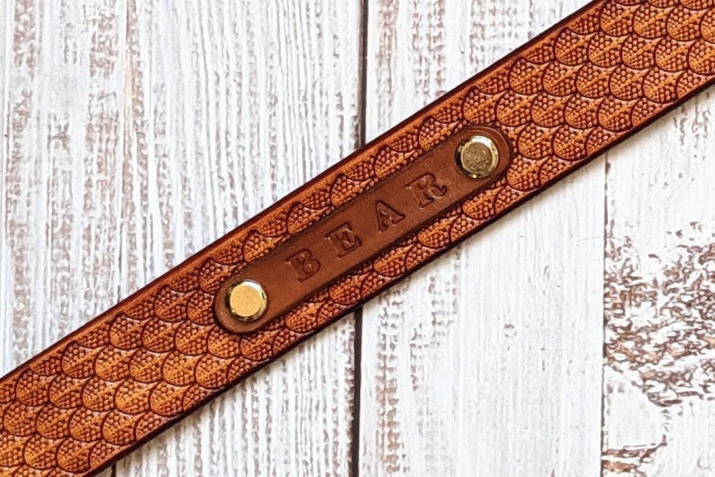 May include: Close-up of a brown leather strap with a scale pattern. The word "BEAR" is embossed on a smaller rectangular piece of leather, secured with gold-coloured rivets. The strap is likely for a pet collar or accessory.