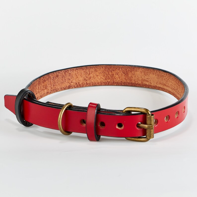 May include: A red leather dog collar with a brass buckle and black stitching. The collar has multiple holes for adjusting the size.