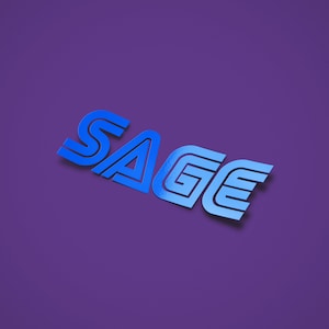 SAGE Sega Parody Vinyl Sticker Die-cut decal