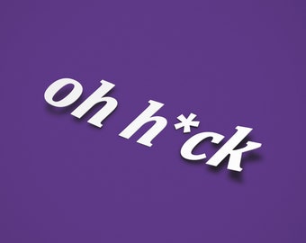 OH H*CK Censored Oh Heck meme Vinyl Sticker Die-cut decal