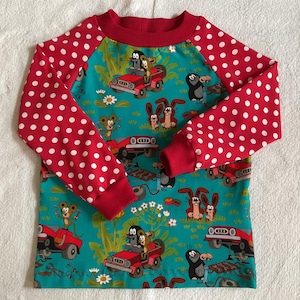 Langarmshirt LA-Shirt "Der kleine Maulwurf und das rote Auto" 2 Farben petrol grün Kindershirt Freunde Geschenk Geburtstag unisex