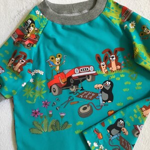 Langarmshirt LA-Shirt "Der kleine Maulwurf und das rote Auto" 3 Bilder 2 Farben petrol grün Kindershirt Freunde Geschenk Geburtstag unisex