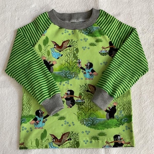 Langarmshirt LA-Shirt "Der kleine Maulwurf und die blaue Hose" 2 Farben blau grün Streifen Kindershirt Freunde Geschenk Geburtstag unisex