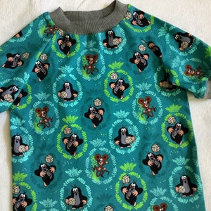 Langarmshirt LA-Shirt "Der kleine Maulwurf - Fußballfieber" petrol Fußball grün Kindershirt Herbst Winter Freunde Geschenk Geburtstag