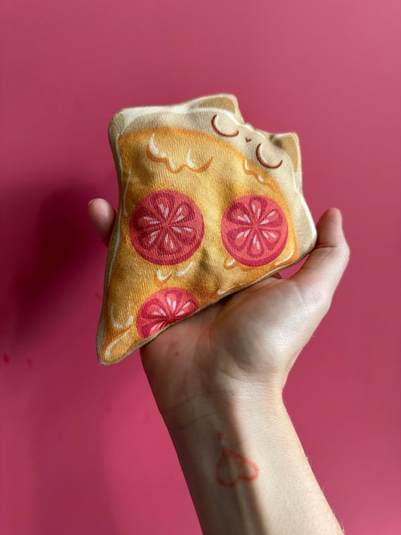 Cat Toy Pizza With Catnip