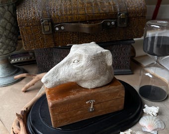 Dog Head Sculpture , White Head Of Dog , Interior Decoration , Art Sculpture , Dog Figurine .