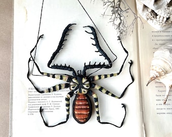 Паук, Текстильная фигурка паука, Ужасное насекомое, Коллекция насекомых.