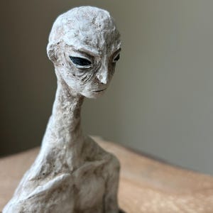 Op de afbeelding: Een wit, gebeeldhouwd buste van een alien met een lange nek en grote, donkere ogen. Het beeld is gemaakt van een getextureerd materiaal en heeft een realistische uitstraling.