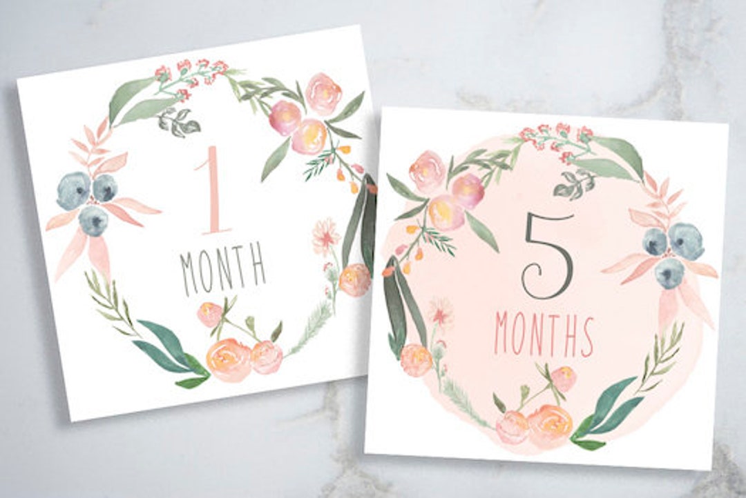 Baby Girl Milestone Cards, Digital Download - Etsy