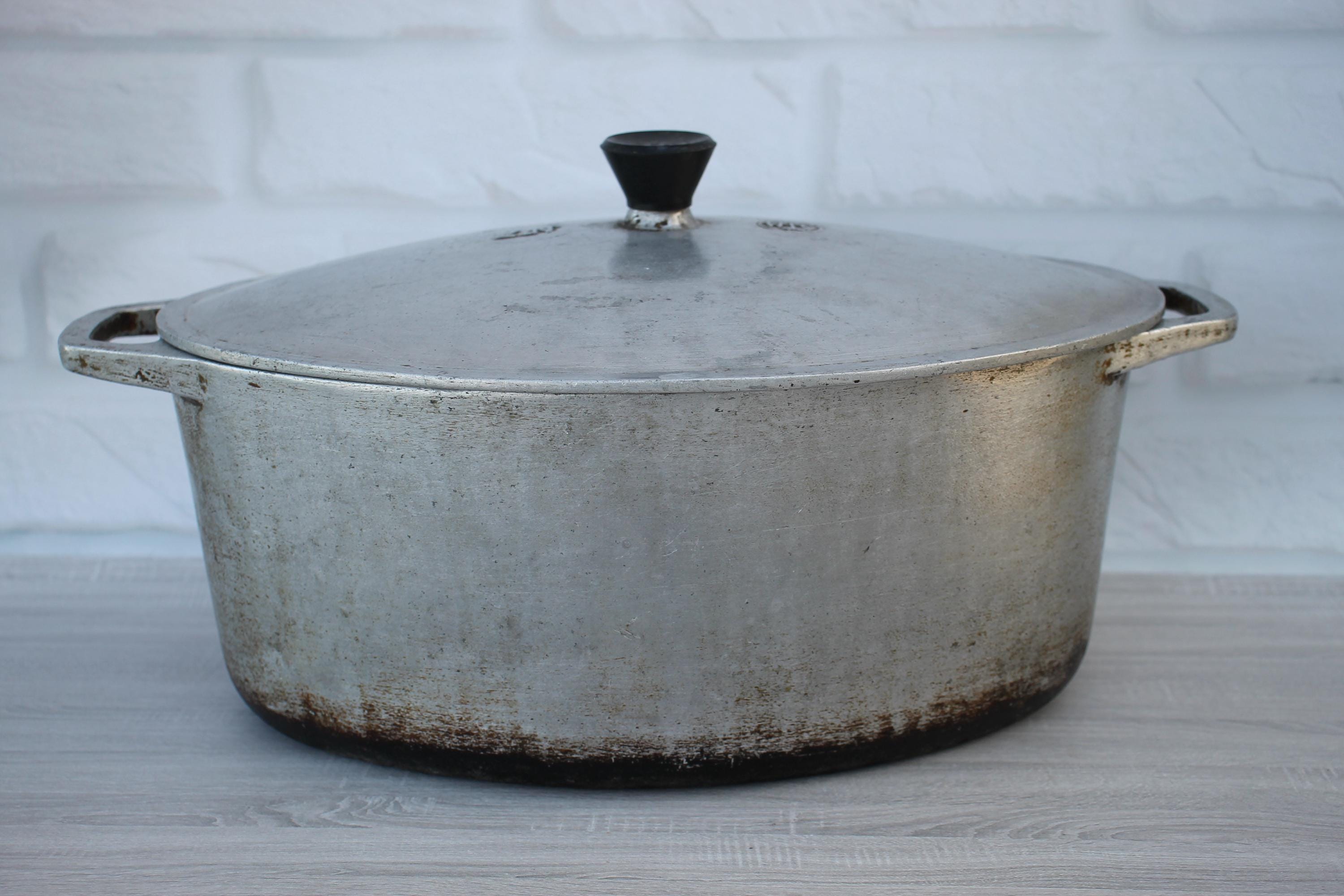 Cast iron roaster, cookware,vintage cast iron pot,cast aluminum  roaster,duckling,gosling,kitchen oven pan,cooking pot,dutch oven,goose