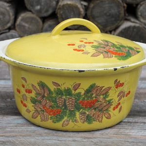 Könnte beinhalten: Gelber emaillierter gusseiserner Topf mit Deckel und einem Blumendesign mit roten Beeren und grünen Blättern.