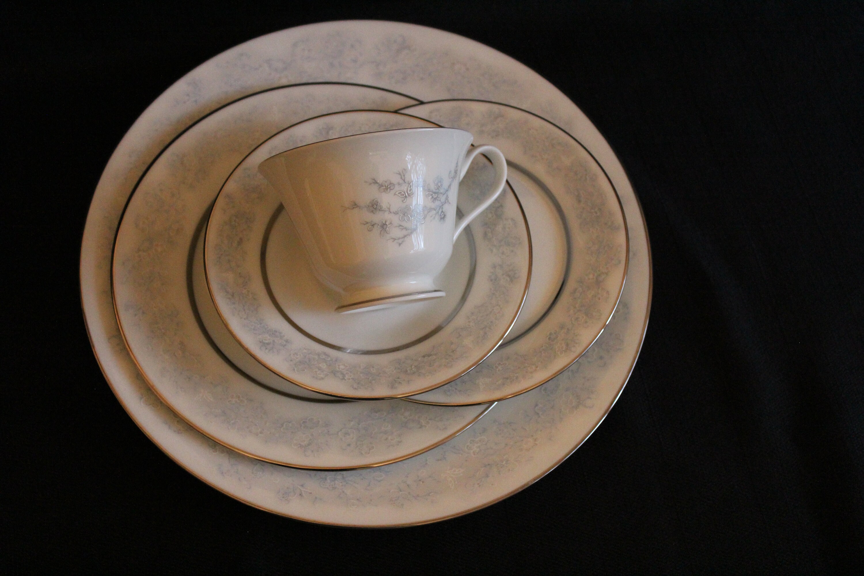 Lenox Oxford Twilight Dell Bone China for 4 Persons Etsy
