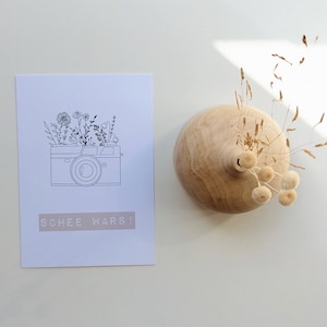 Postkarte "schee wars!"