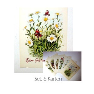 Set: 6 Stück Künstlerkarten Botanik / Björn Gidstam, Schweden / 1970er Jahre